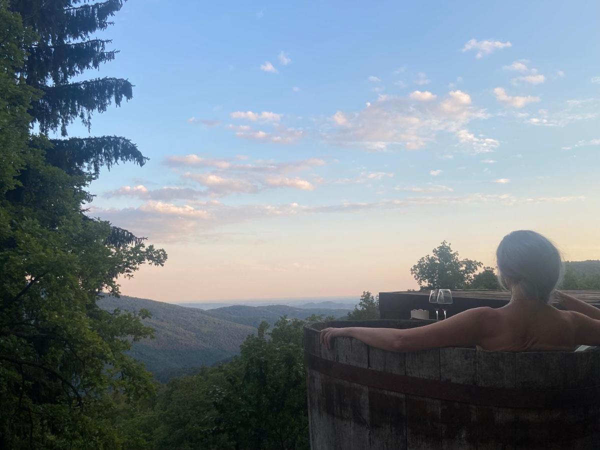 Suxen Nature Experience - Lodge Con Vista Panoramica Prepotto  Eksteriør bilde